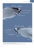 The Gull Guide: North America - Amar Ayyash 2024